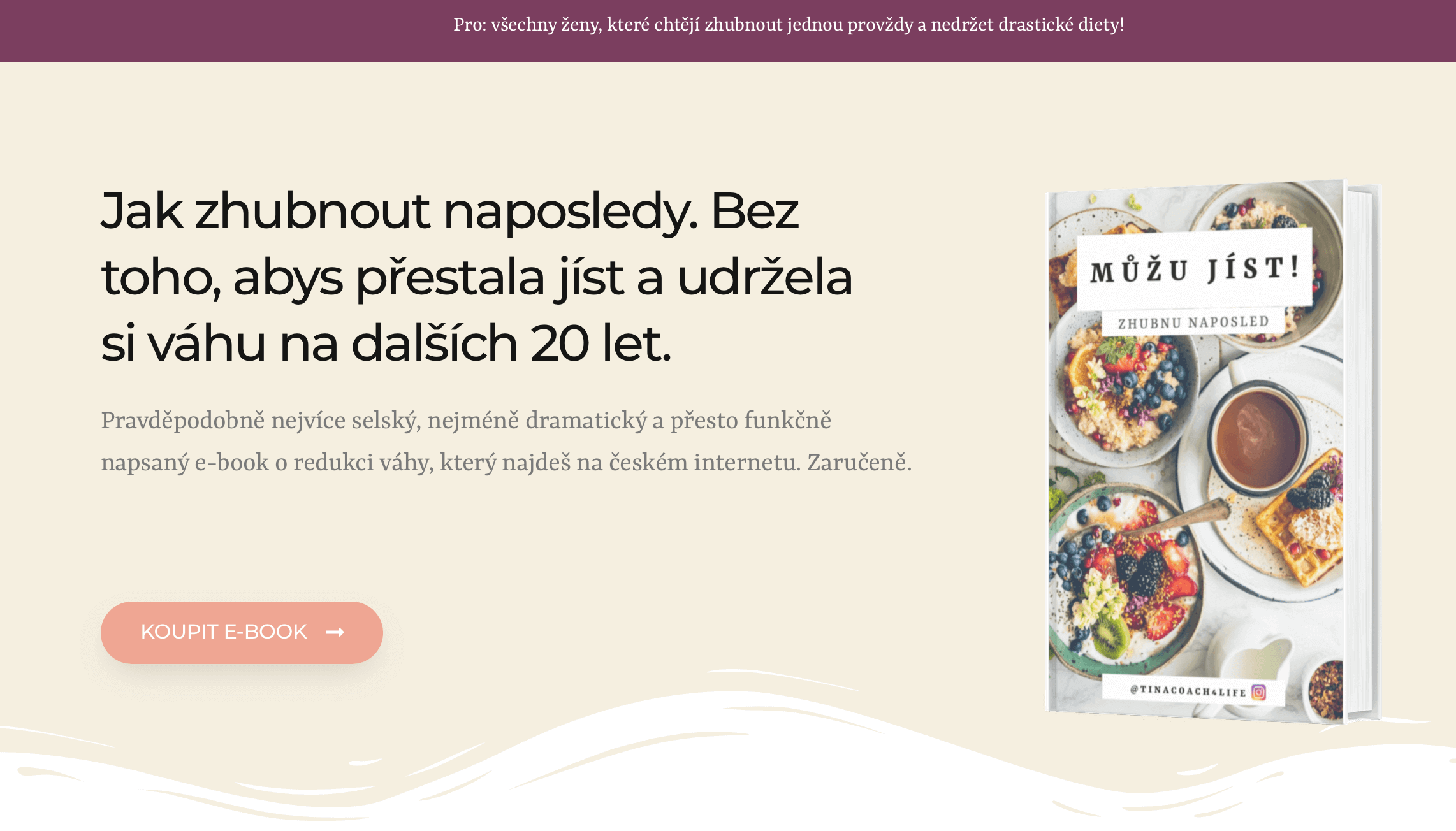 www.byznysmentor.cz